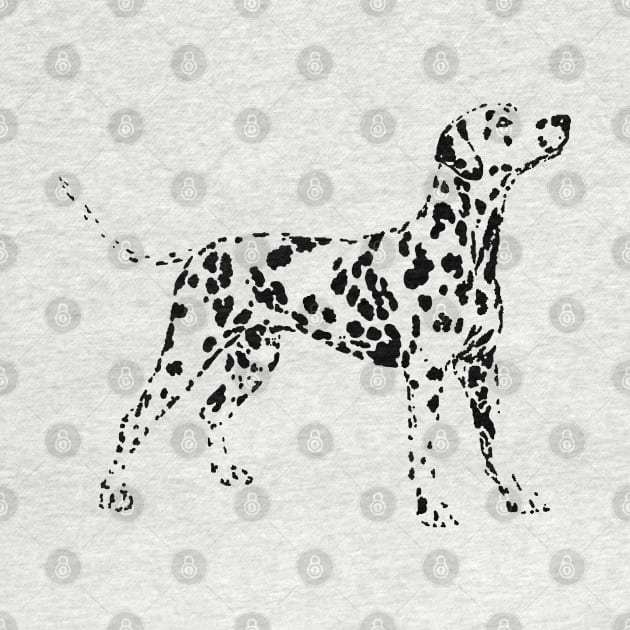 Dalmatian by childofthecorn